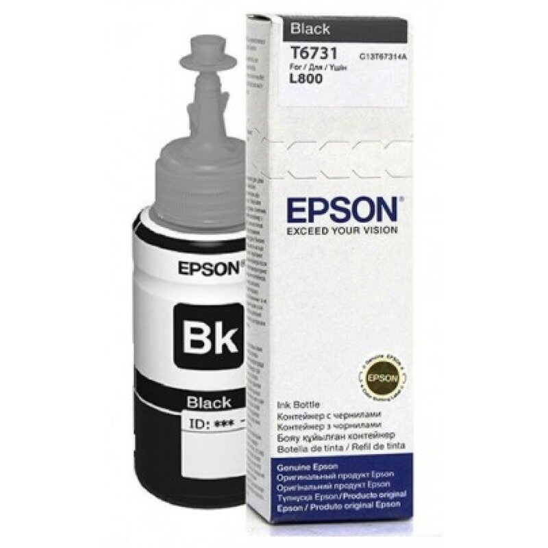 Tusz EPSON T6731 Czarny