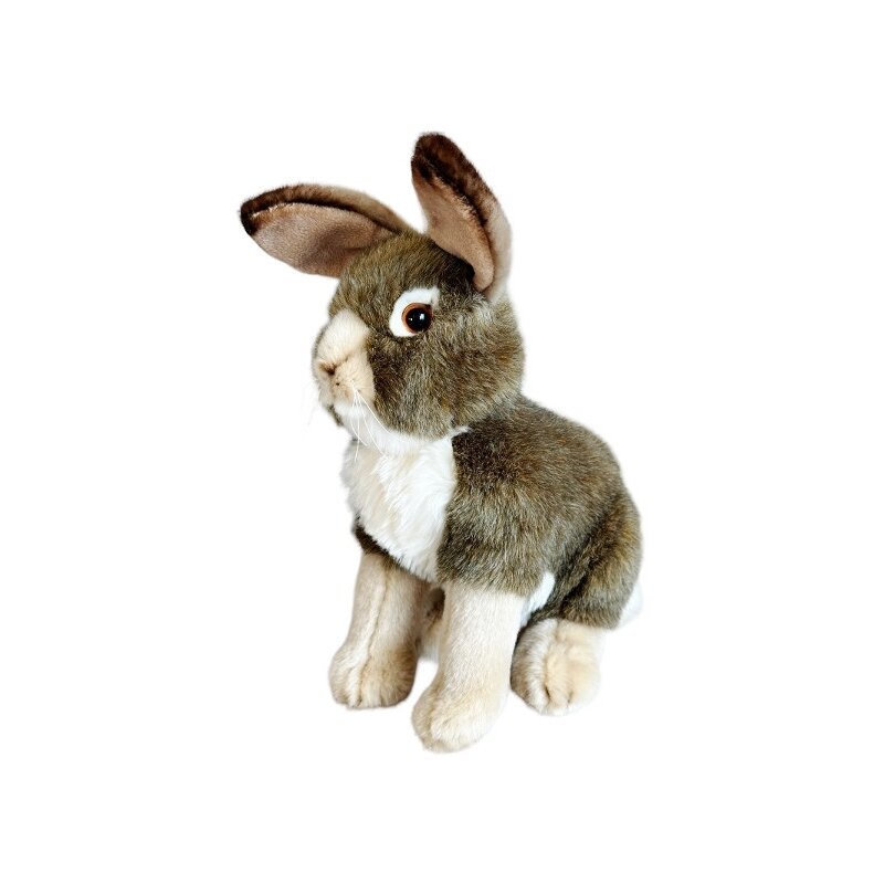 Mastkotka DUBI Zając szary C4920