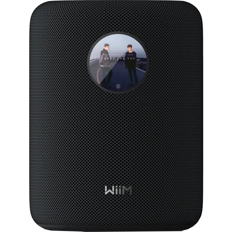 Głośnik Multiroom/Bluetooth WIIM Sound Czarny, 100W, Wi-Fi 6, Bluetooth 5.3 LE, Kolorowy wyświetlacz, Hi-Res Audio 24-bit/192 kHz