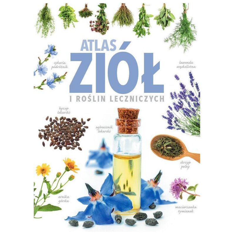 Atlas ziół i roślin leczniczych Anna Książek