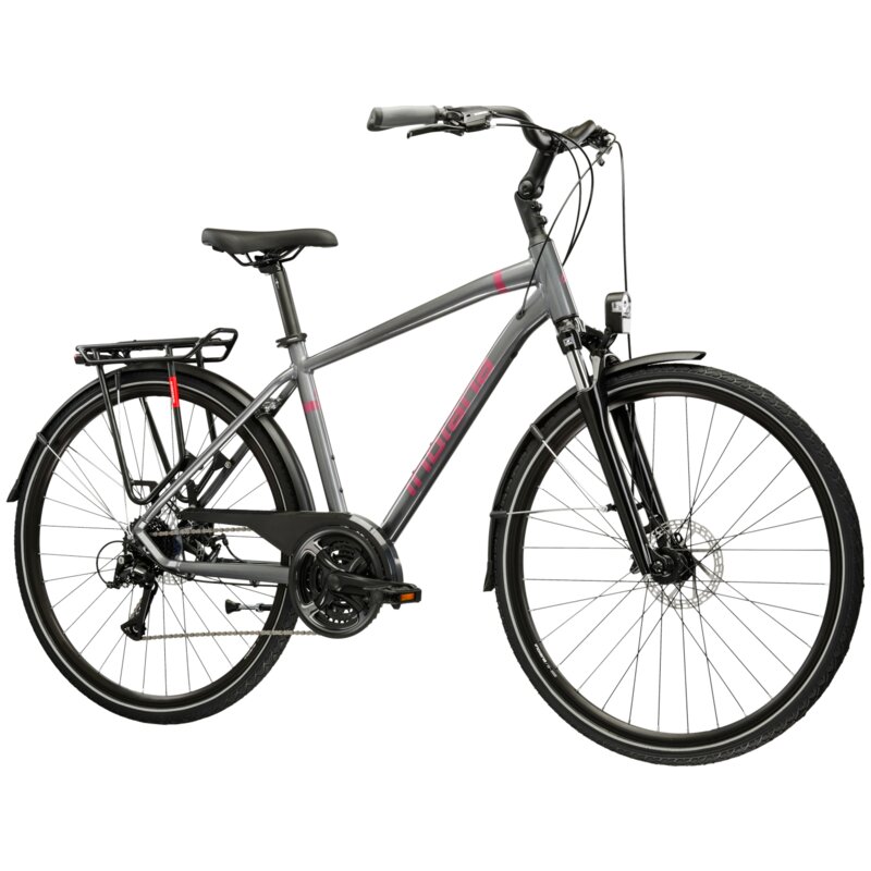 Rower trekkingowy INDIANA X-Road 3.0 M21 28 cali męski Szaro-bordowy