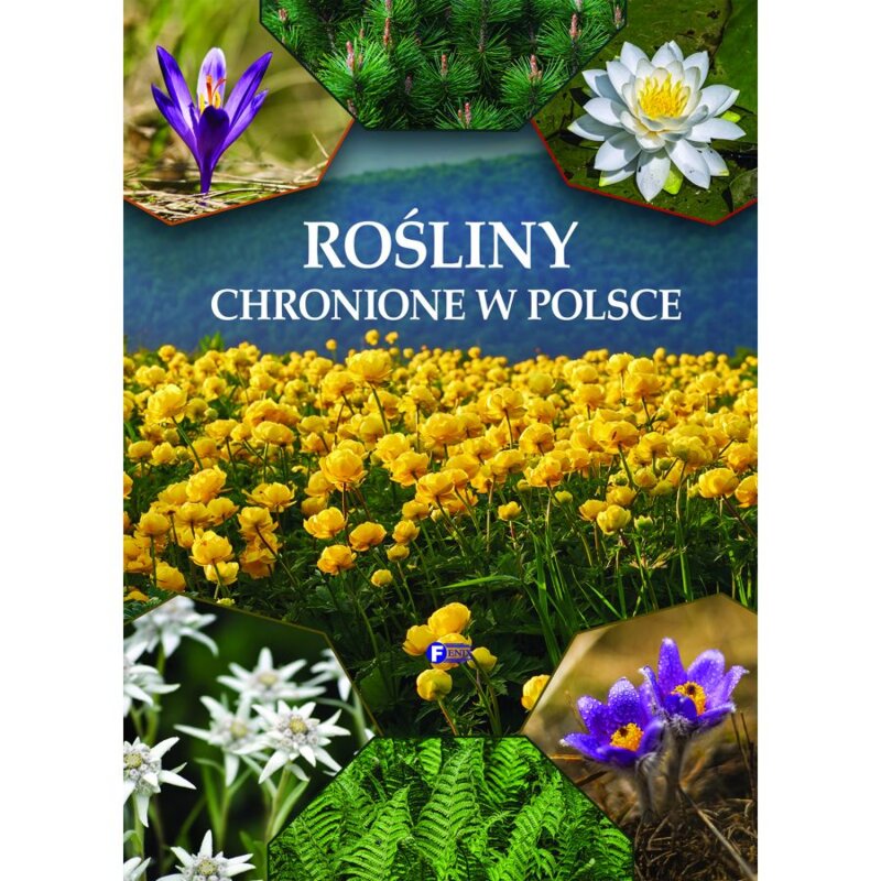 Rośliny chronione w Polsce Praca zbiorowa