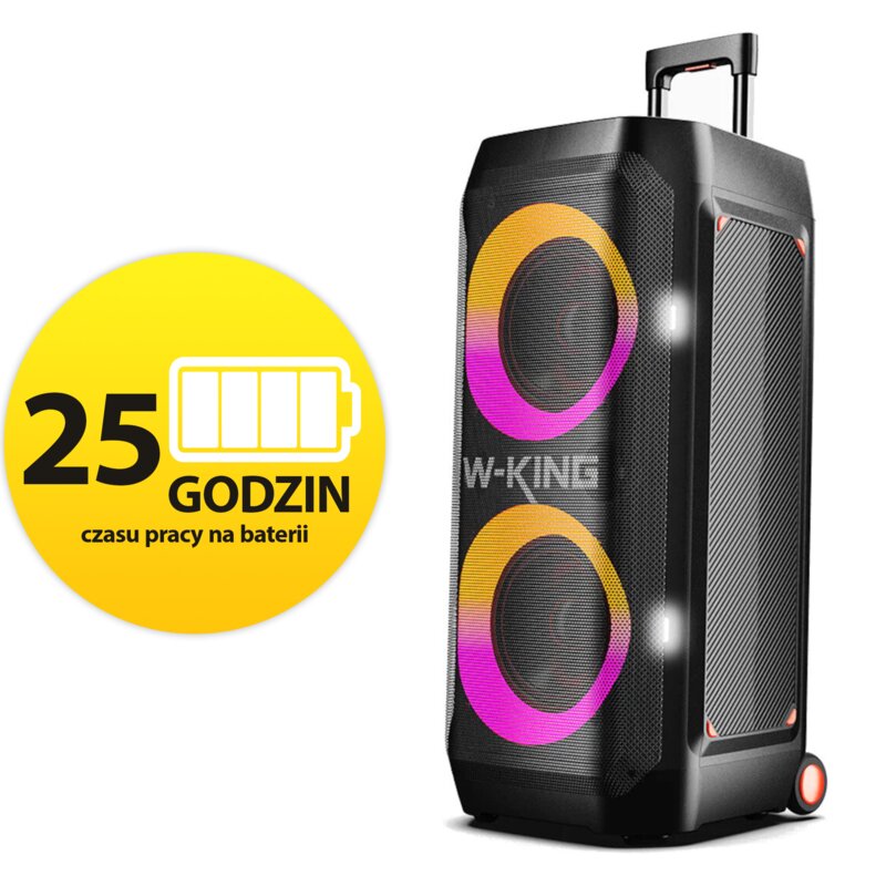 Power Audio W-KING T12