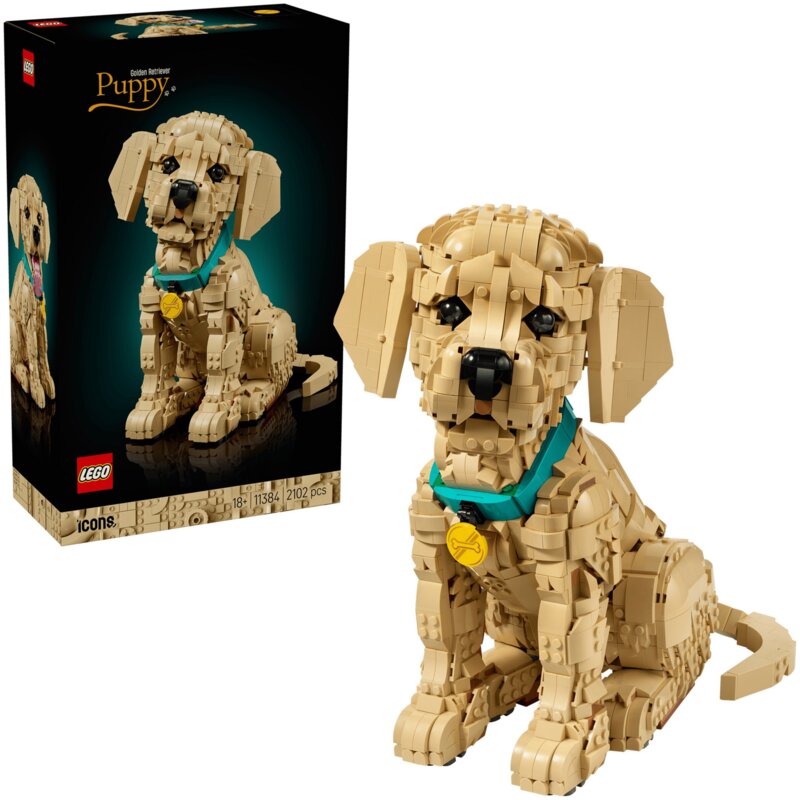LEGO 11384 Icons Szczeniak golden retriever