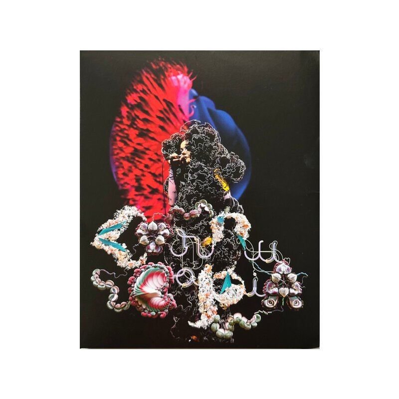 Bjork - Cornucopia : Live