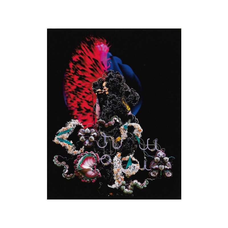 Bjork - Cornucopia : Live
