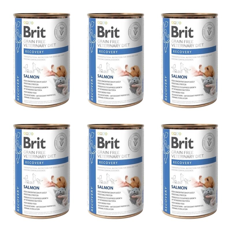 Karma dla psa BRIT Grain Free Veterinary Diets Dog & Cat Recovery Łosoś 6 x 400 g