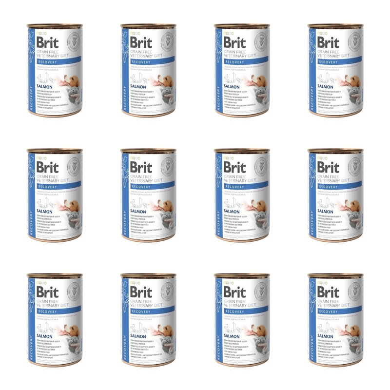 Karma dla psa BRIT Grain Free Veterinary Diets Dog & Cat Recovery Łosoś 12 x 400 g