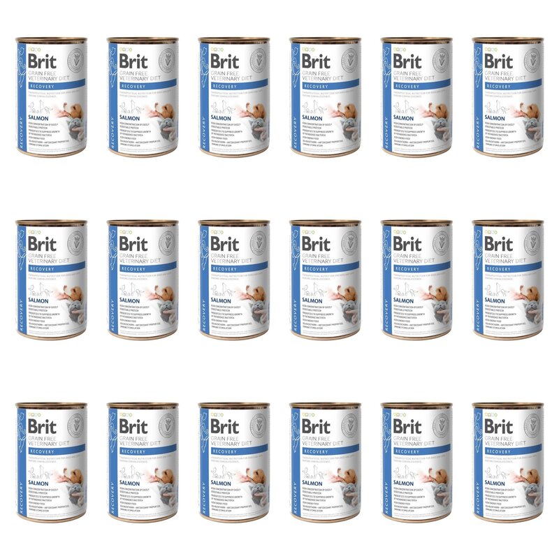 Karma dla psa BRIT Grain Free Veterinary Diets Dog & Cat Recovery Łosoś 18 x 400 g