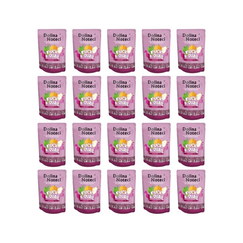 Karma dla psa DOLINA NOTECI Superfood z kaczką i przepiórką 20 x 300 g