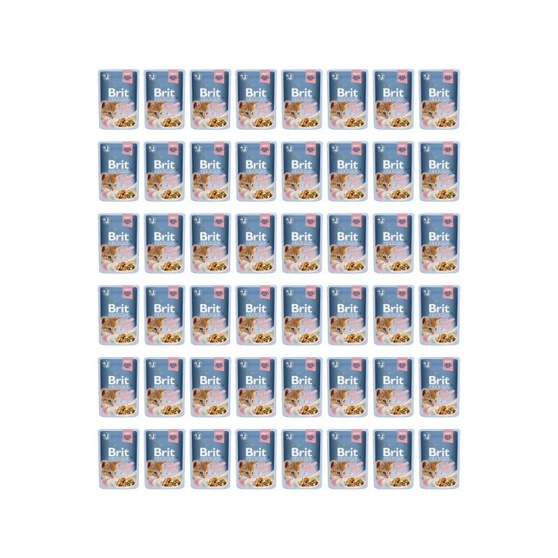 Karma dla kota BRIT Premium Kurczak 48 x 85 g