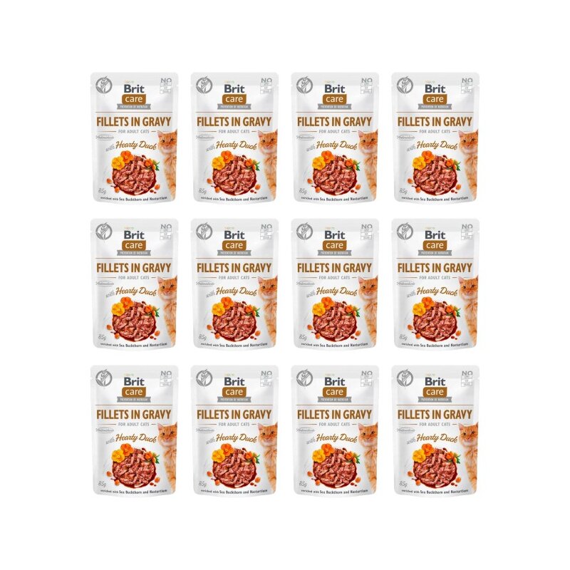 Karma dla kota BRIT Care Fillets In Gravy Serca kaczki 12 x 85 g