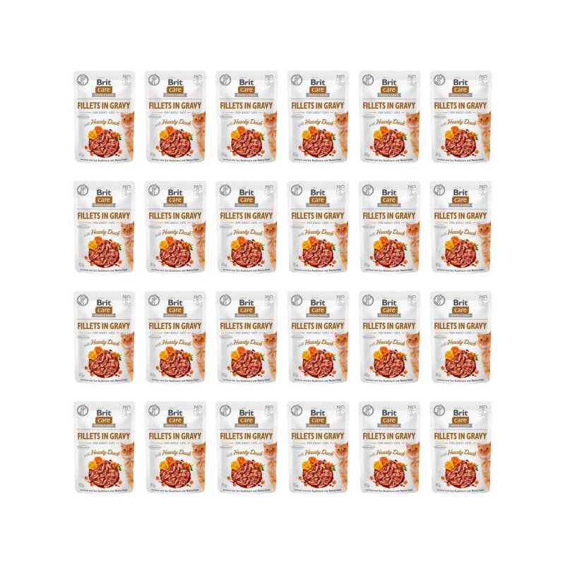 Karma dla kota BRIT Care Fillets In Gravy Serca kaczki 24 x 85 g