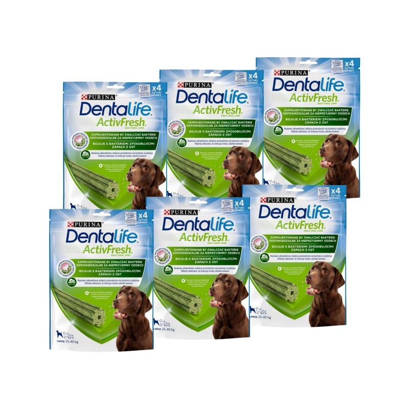Przysmak dla psa DENTALIFE Activfresh Large 6 x 142 g