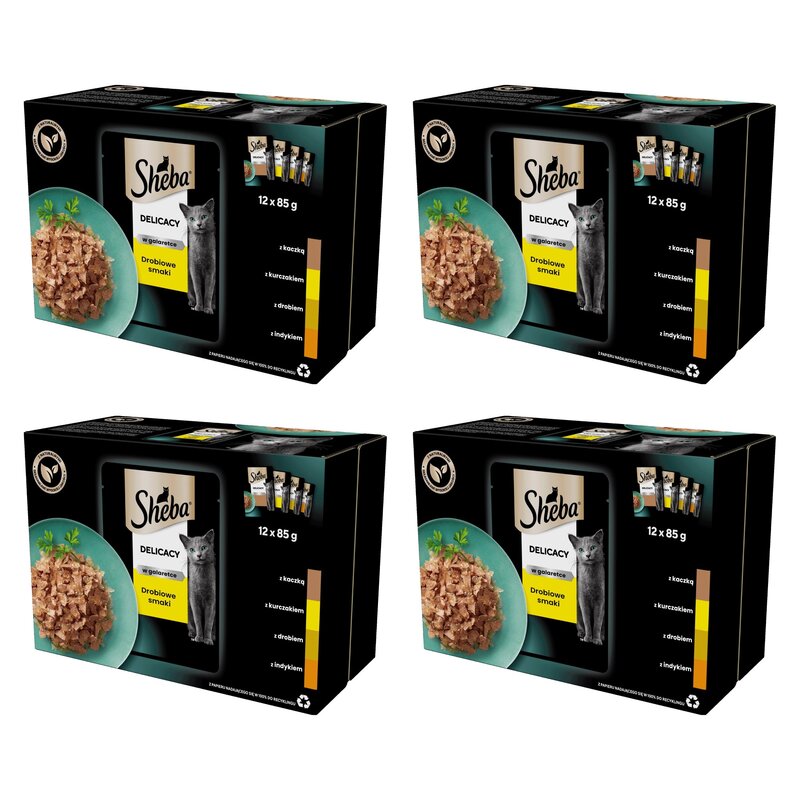 Karma dla kota SHEBA Delicacy in Jelly Smaki Drobiowe 48 x 85 g