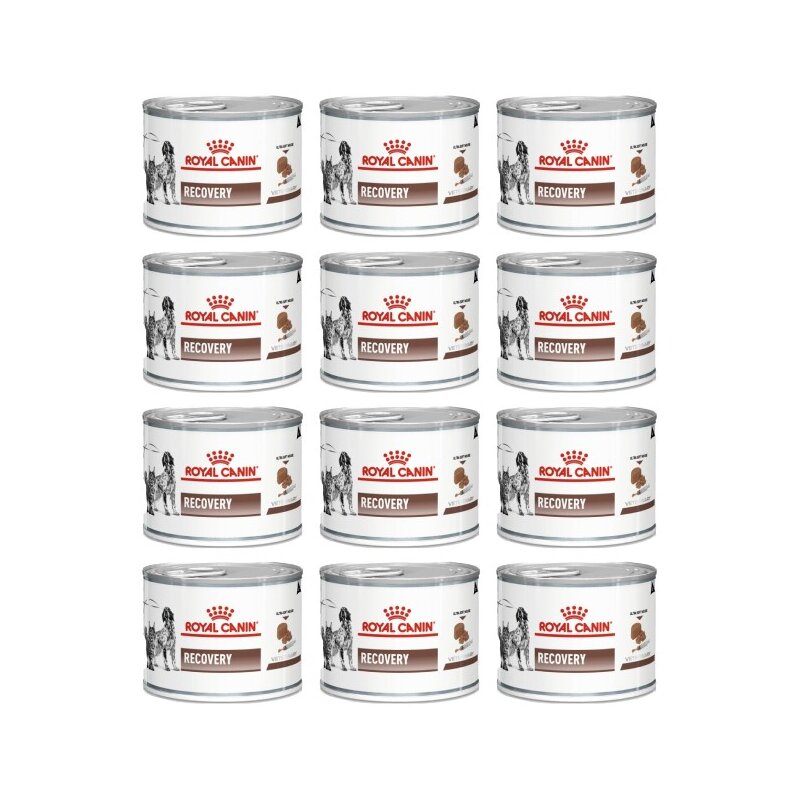Karma dla psów i kotów ROYAL CANIN Recovery 12 x 195 g