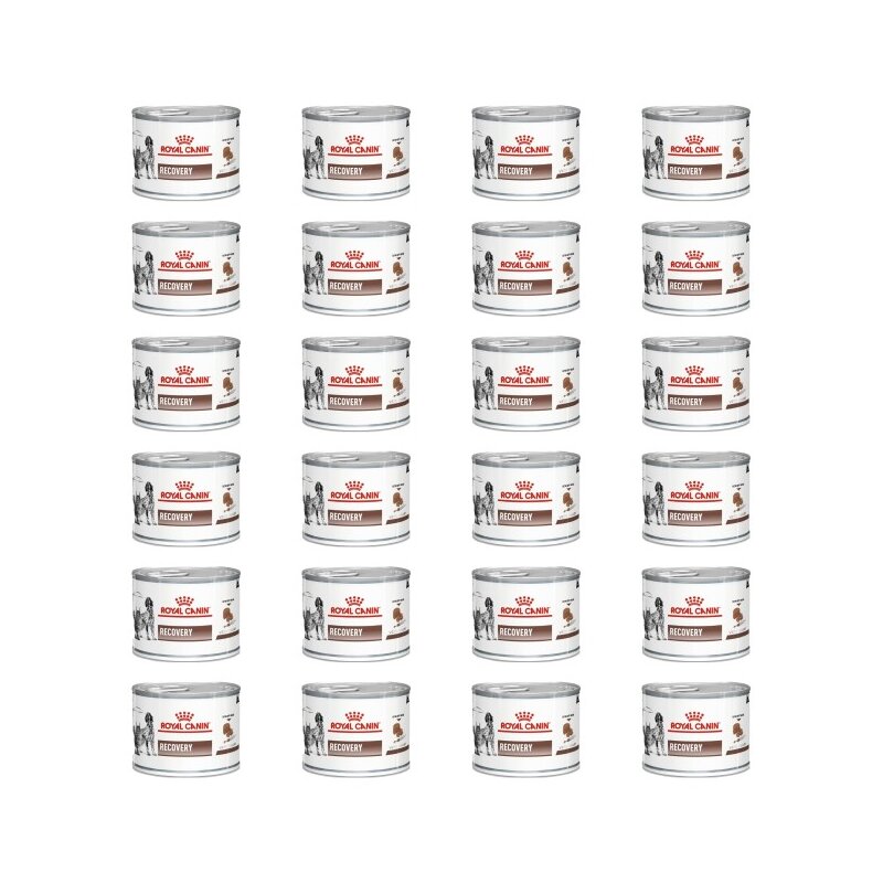 Karma dla psów i kotów ROYAL CANIN Recovery 24 x 195 g
