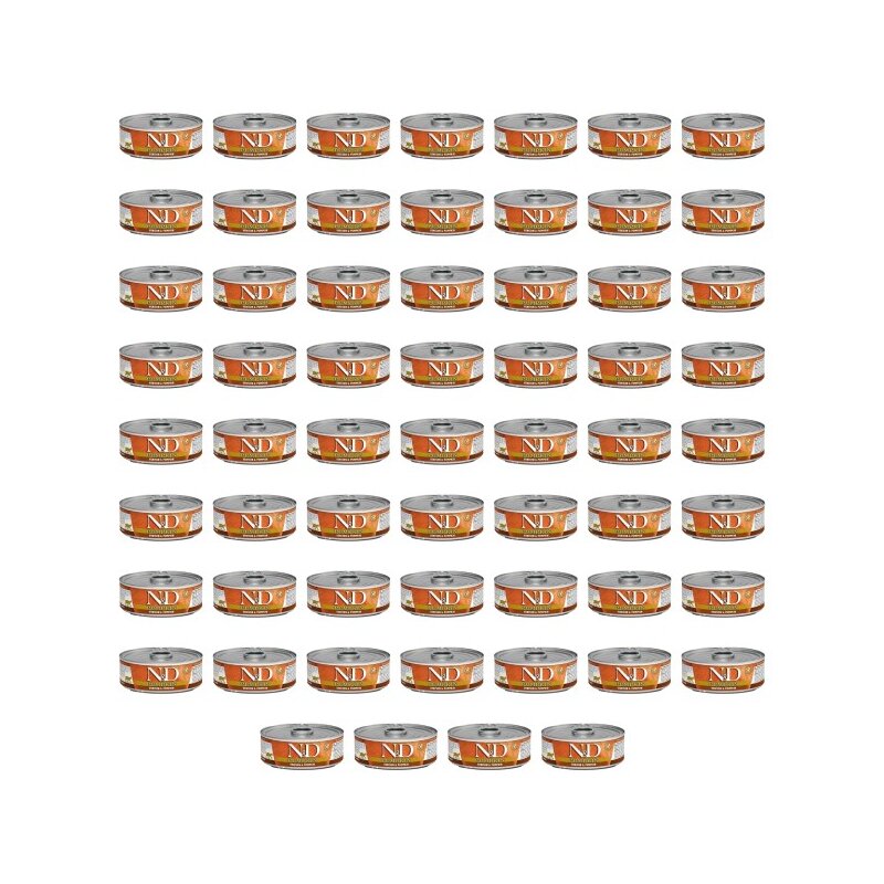 Karma dla kota FARMINA N&D Dziczyzna z dynią 60 x 80 g
