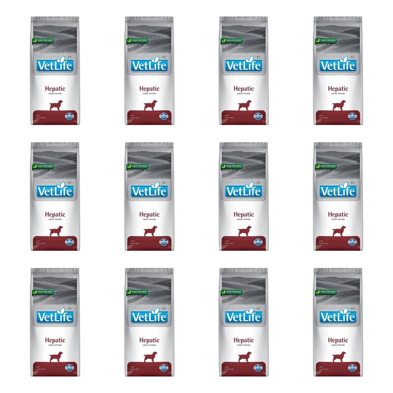 Karma dla psa FARMINA Vet Life Hepatic 12 x 2 kg