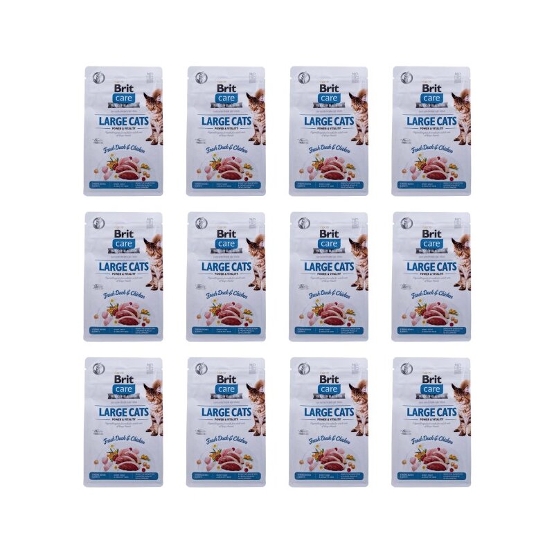 Karma dla kota BRIT Care Large Cats Power and Vitality Świeża Kaczka i Kurczak 12 x 400 g