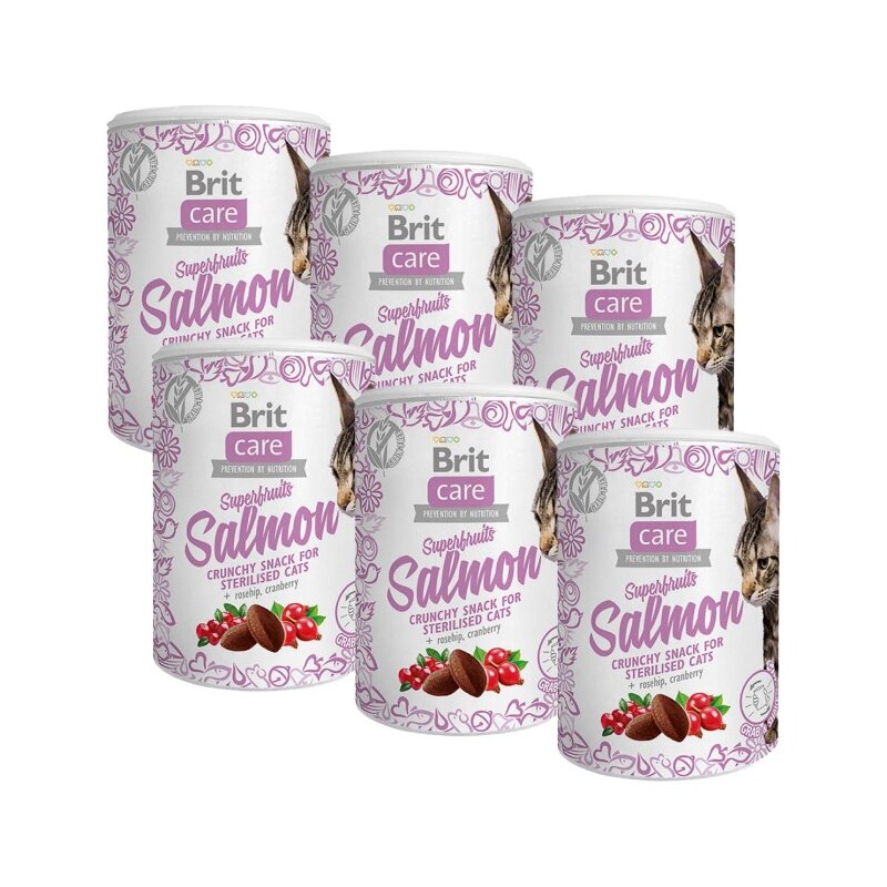 Przysmak dla kota BRIT CARE Snack Superfruits Salmon 6 x 100 g