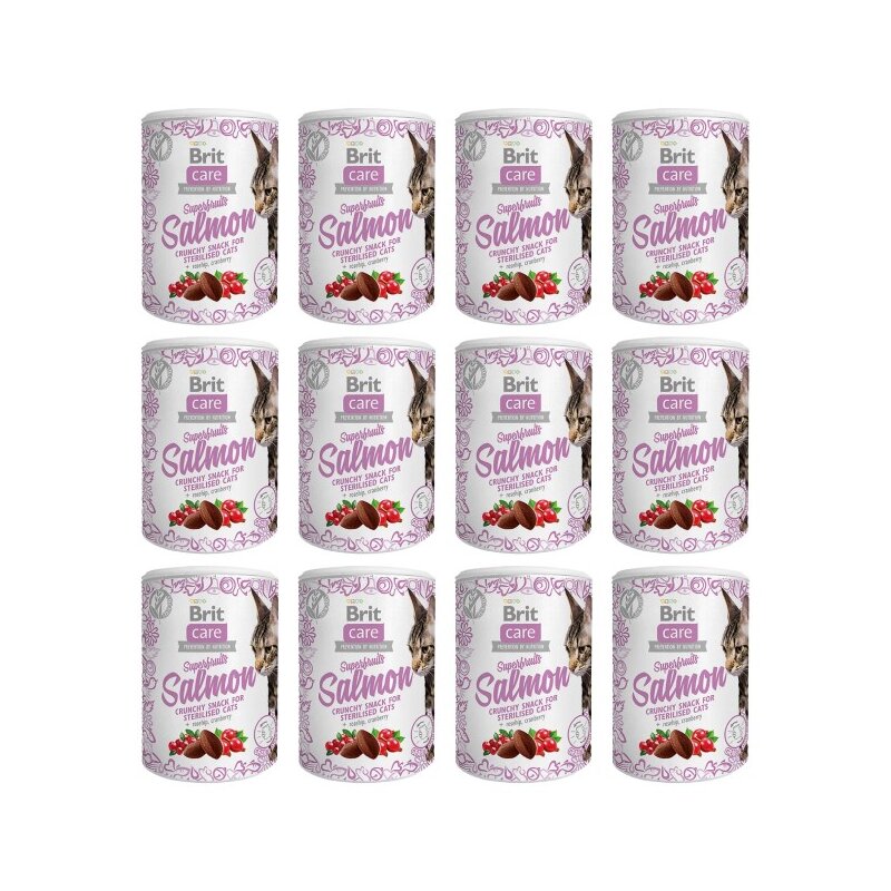 Przysmak dla kota BRIT CARE Snack Superfruits Salmon 12 x 100 g