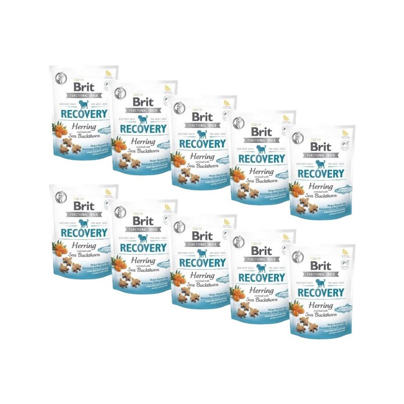 Przysmak dla psa BRIT CARE Dog Recovery Herring 10 x 150 g