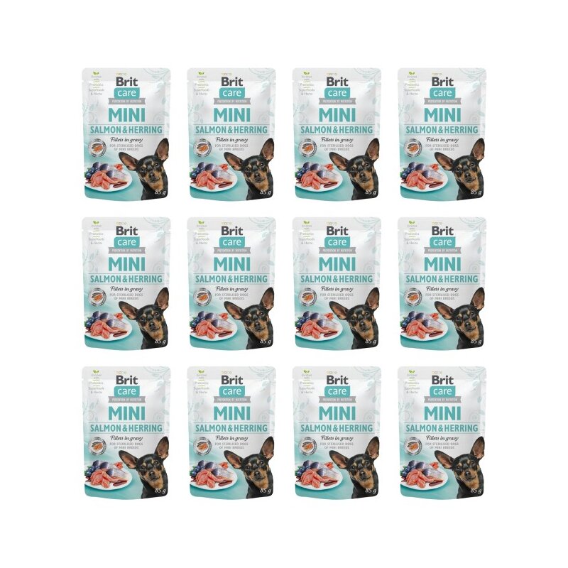 Karma dla kota PURINA PRO PLAN Healthy Start Kitten Kurczak 12 x 1.5 kg