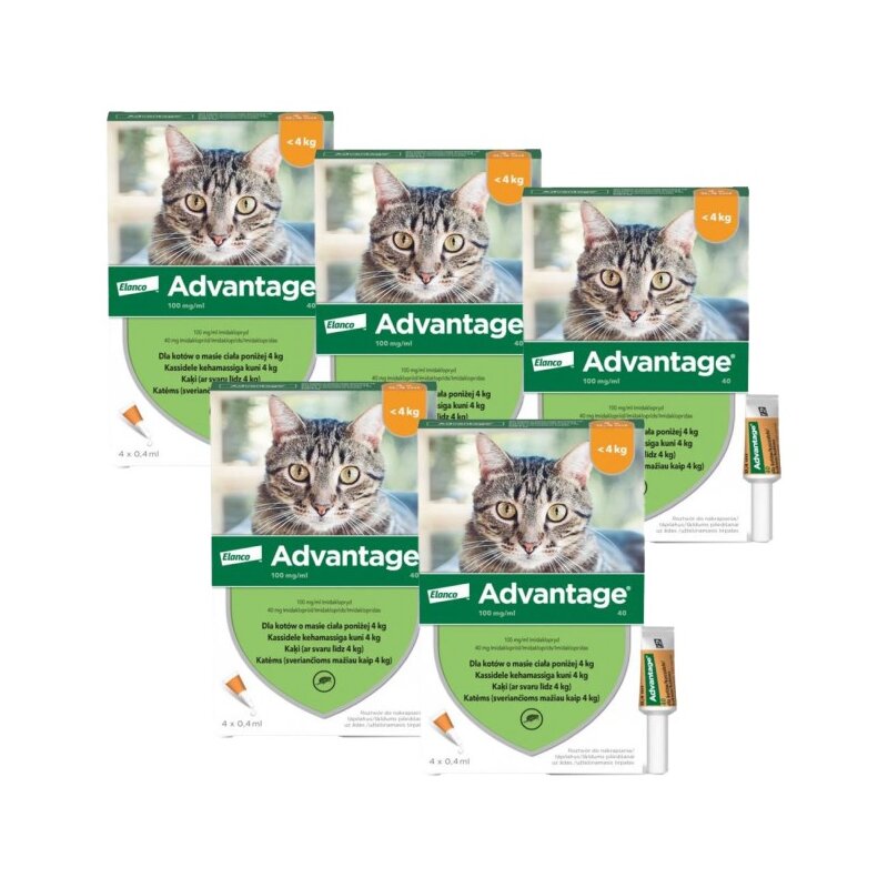 Krople na pchły ADVANTAGE Małe koty 20 x 0.4 ml