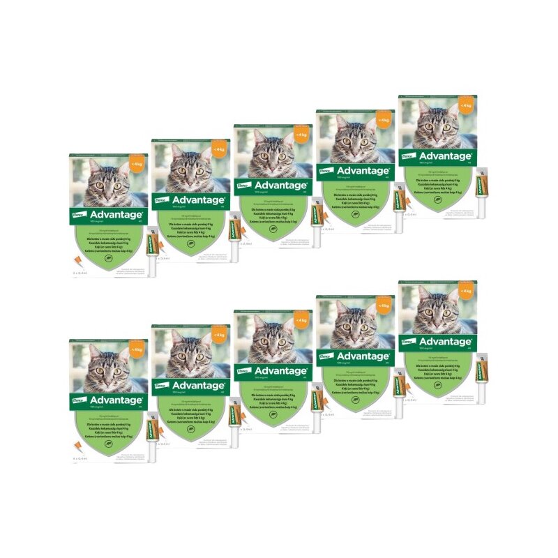 Krople na pchły ADVANTAGE Małe koty 40 x 0.4 ml