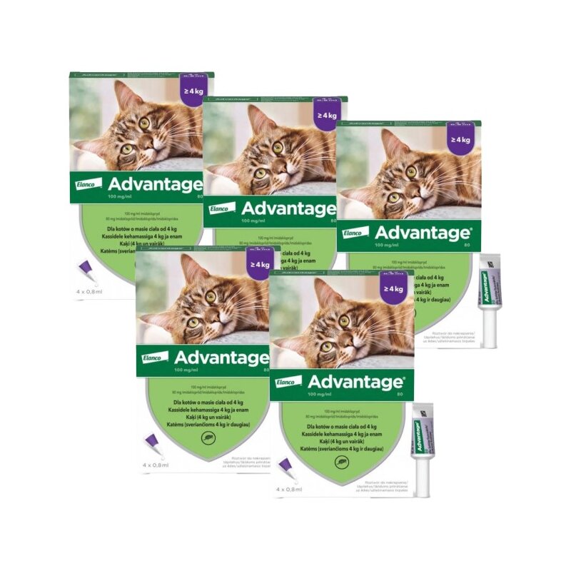 Krople na pchły ADVANTAGE Duże koty 20 x 0.8 ml