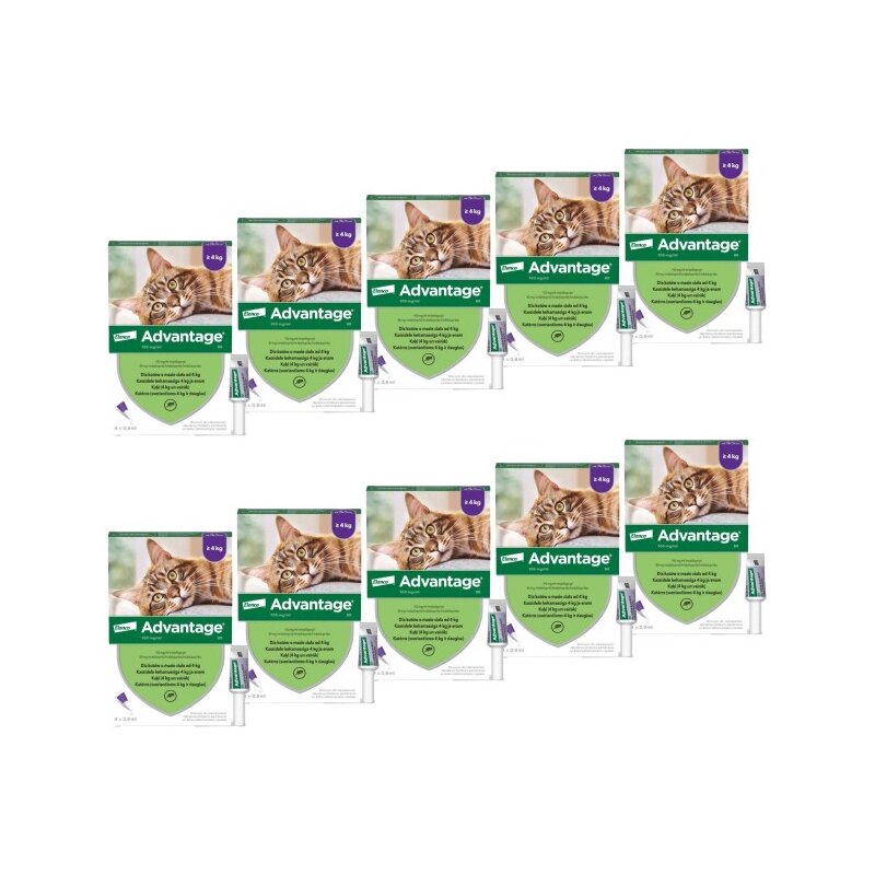 Krople na pchły ADVANTAGE Duże koty 40 x 0.8 ml