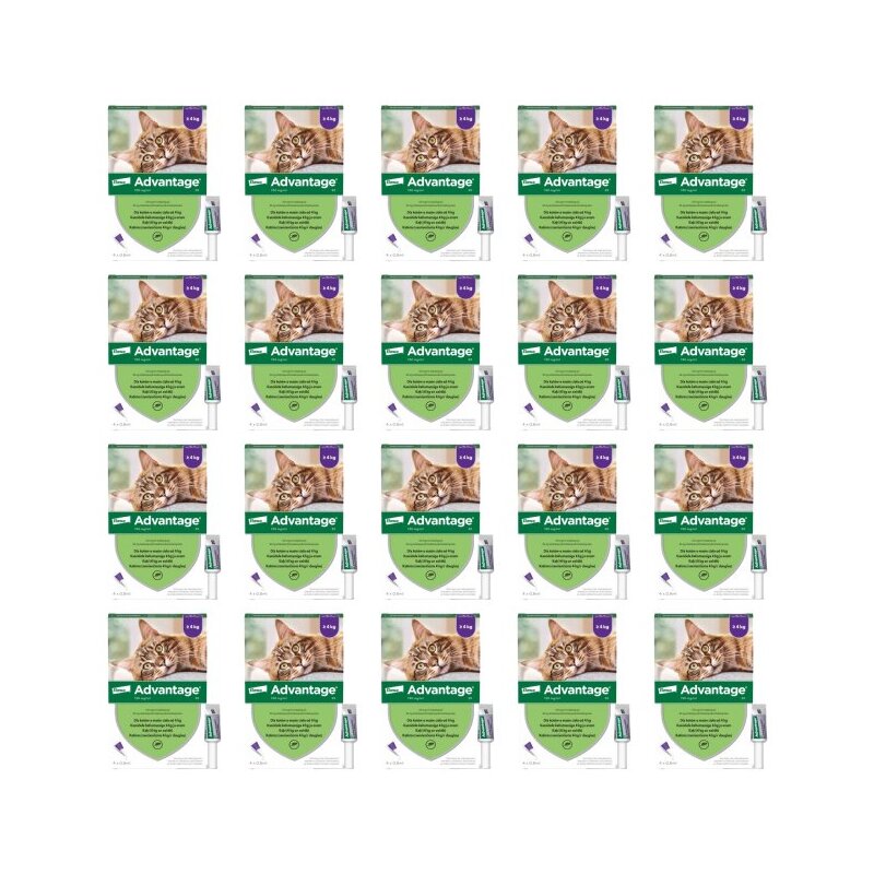 Krople na pchły ADVANTAGE Duże koty 80 x 0.8 ml