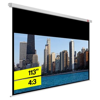 Ekran projekcyjny AVTEK Video Pro 240 BT 230x172.5