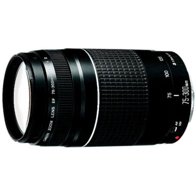 Obiektyw CANON EF 75-300 mm f/4-5.6 III