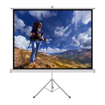 Ekran projekcyjny ART Matt White TS-72 145x110