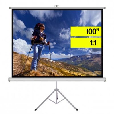 Ekran projekcyjny ART Matt White TS-70 178x178