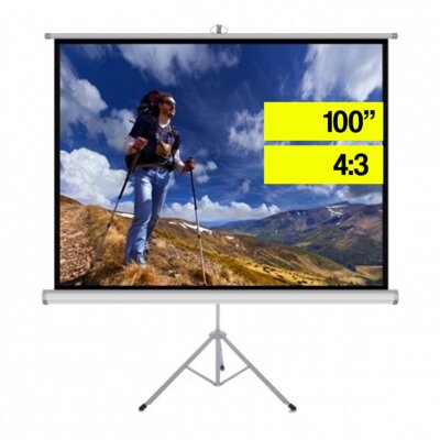 Ekran projekcyjny ART Matt White TS-100 203x152