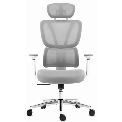 Fotel biurowy HELL'S CHAIR HC 1043 Szary