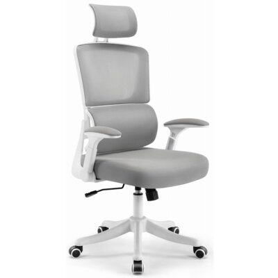 Fotel biurowy HELL'S CHAIR HC-1011 Szary