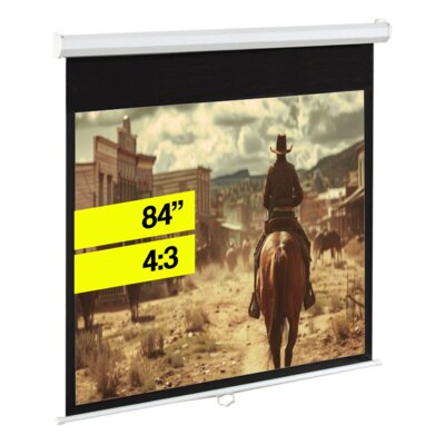 Ekran projekcyjny ART Matt White EM-84 170x127
