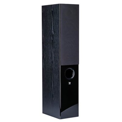 Kolumna głośnikowa WILSON Raptor 5 Czarny (1 szt.)