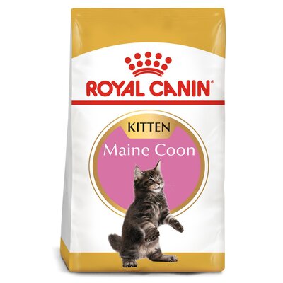Karma dla kota ROYAL CANIN Maine Coon Kitten 10 kg