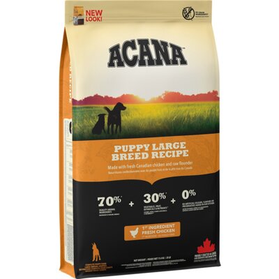Karma dla psa ACANA Puppy Large Breed Drób z jajkami i rybą 11.4 kg
