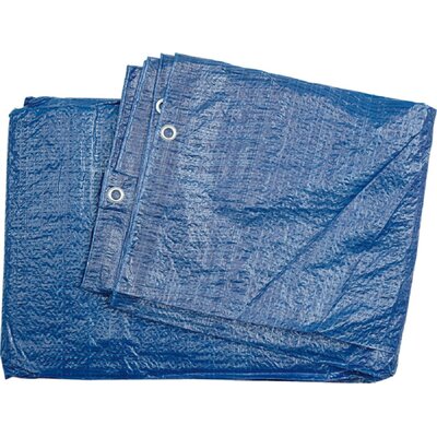 Plandeka VOREL 85122 (2 x 3 m)