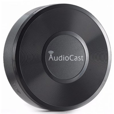 Фото - Аудіоресивер Streamer odtwarzacz sieciowy IEAST M5 AUDIOCAST AudioCast M5