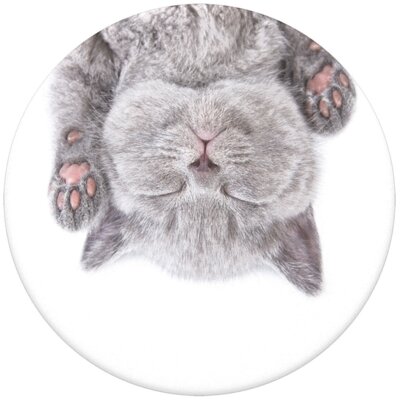 Фото - Тримач / підставка PopSockets Uchwyt i podstawka  do telefonu PopGrip Cat Nap  PopGrip C (2gen)