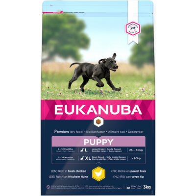 Karma dla psa EUKANUBA Puppy Large Breeds Kurczak 3 kg