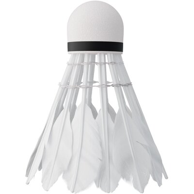 Lotka NILS NBL6206 (6 szt.)