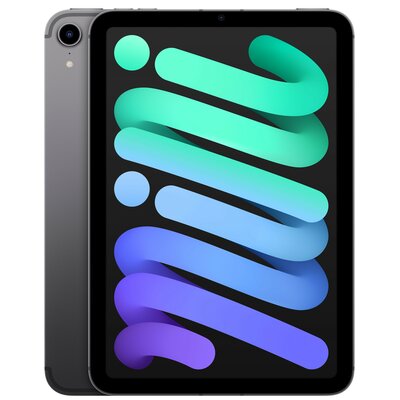 Tablet APPLE iPad mini 8.3" 6 gen. 256 GB 5G Wi-Fi Gwiezdna szarość